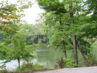 Tail of he Dragon July 2015 576 : Tail of he Dragon July 2015